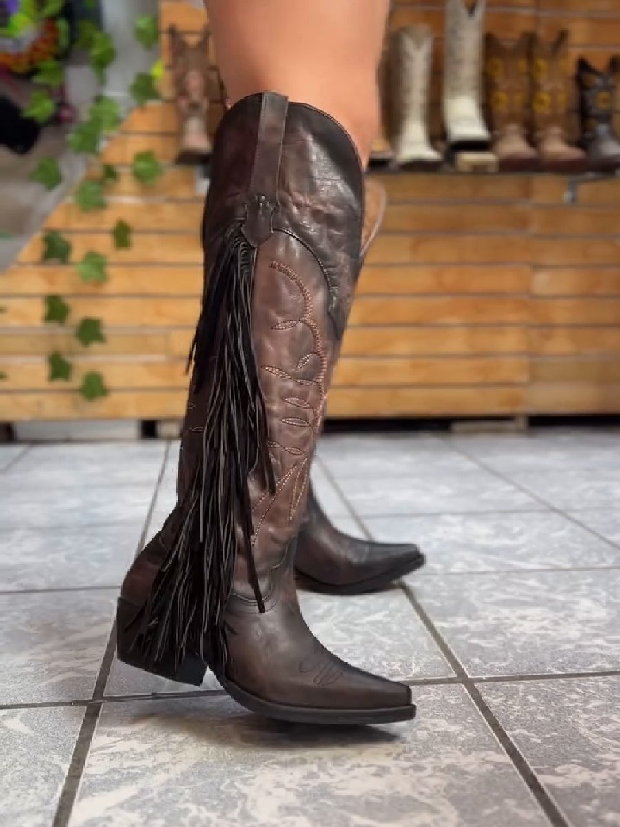 Women's Chunky Heel Tassel Boots High Heel Boots