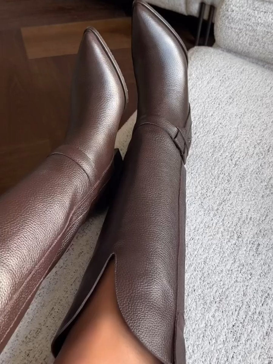 Brown Pointed Toe Thick Heel Boots